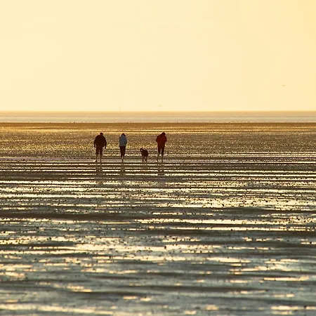 Nordseeblick! Penthouse De Wied アパート *