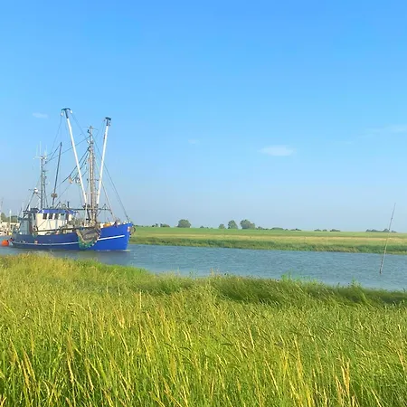 De Wied Dorumer Neufeld