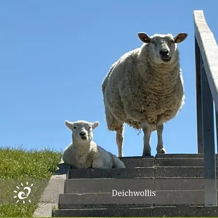 Nordseeblick! Penthouse De Wied * דורום נויפלד