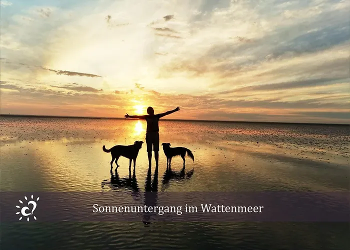 Nordseeblick! Penthouse De Wied Apartman *